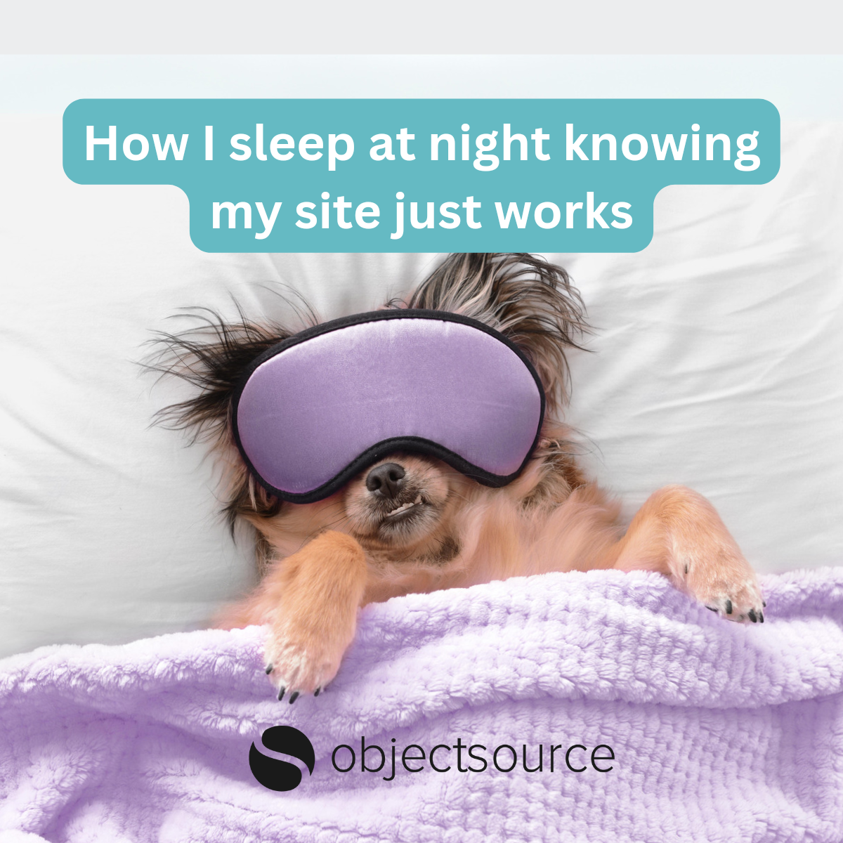 Four things online merchants need from their agency in 2024