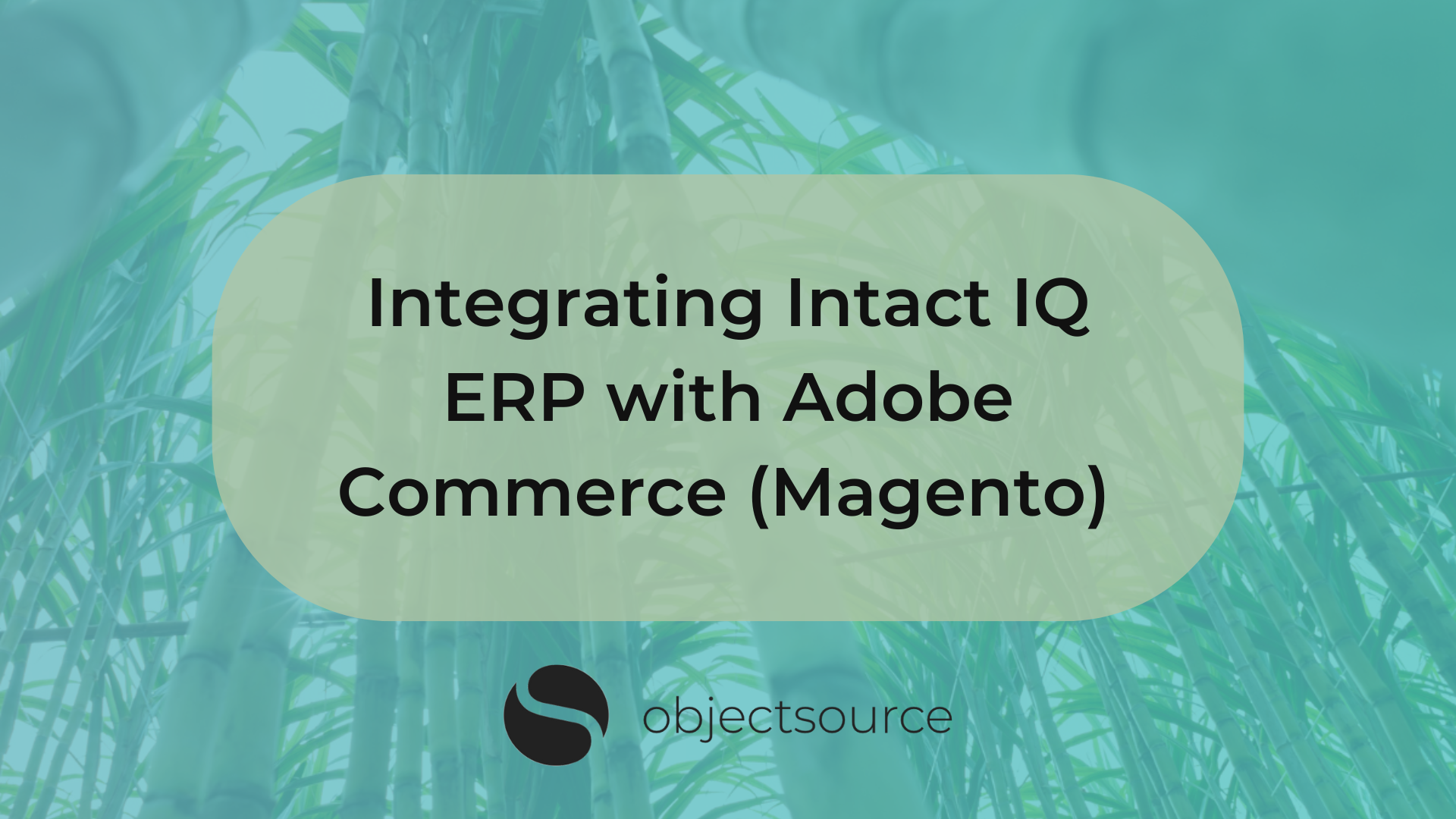 Integrating Intact IQ ERP with Adobe Commerce (Magento) 