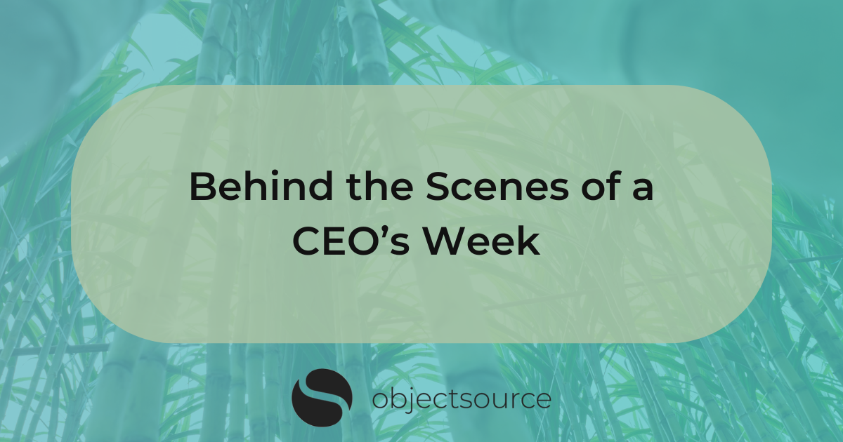 Blog title image for 'Behind the Scenes of a CEO's Week' blog